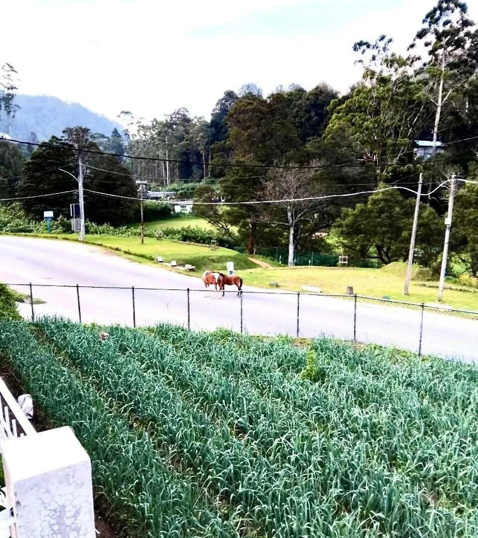The Sixth, Nuwara Eliya Villa 0*,